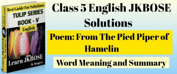From The Pied Piper of Hamelin Class 5th Summary in hindi