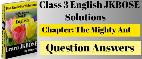 The Mighty Ant Question Answers 