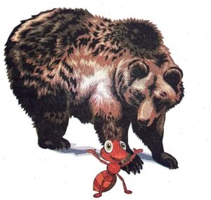 Grizzly bear the mighty ant class 3rd