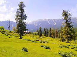 Be Adventurous chapter 8 Class 4