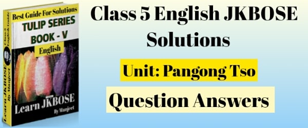Pangong Tso Class 5th English Question Answers