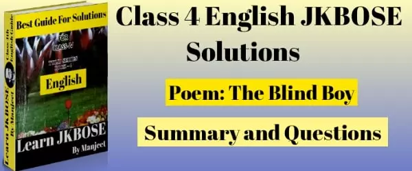 The Blind Boy Class 4 Summary and Question Answer