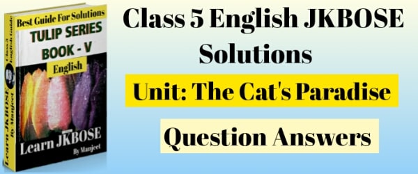 The Cat’s Paradise Class 5 Question Answers