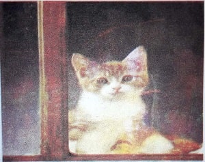 The Cat’s Paradise 1