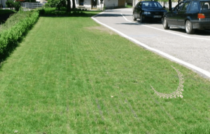 With-bit-of-luck-necklace