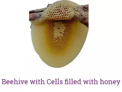 Against Idleness and Mischief Class 4 Poem 2