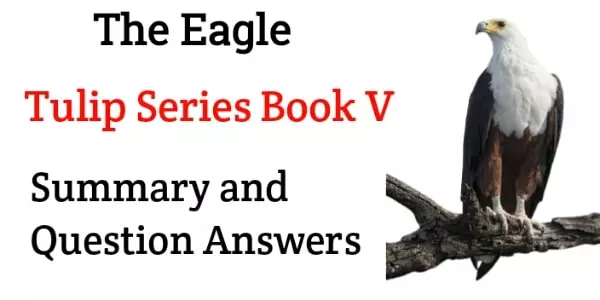 The Eagle Class 5 Poem Summary and Questions