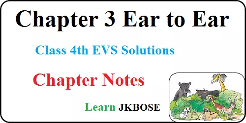  Ear-to-Ear-Chapter-3-Class-4-EVS-Chapter-Notes