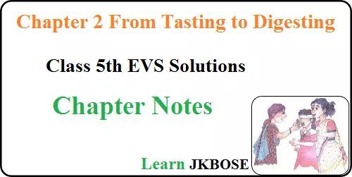 From-Tasting-to-Digesting-Class-5-Chapter-Note