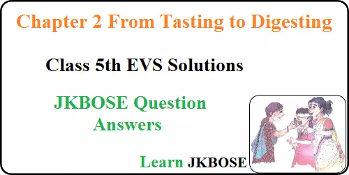 From-Tasting-to-Digesting-Class-5-Question-Answers