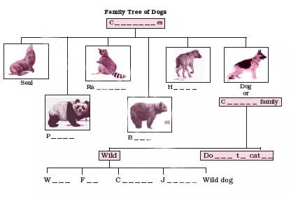 How-the-Dog-Found-Himself-a-New-Master-Explanation-and-Question-Answers-2