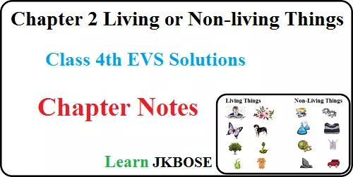 Living-and-Non-Living-Things-Class-4-EVS-Notes