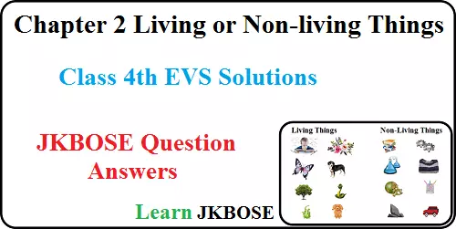 Living-and-Non-Living-Things-Class-4-EVS-Question-Answers