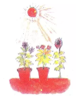 Living-and-non-living-things-3