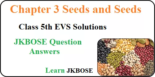 Seeds-and-Seeds-Chapter-3-Question-Answers