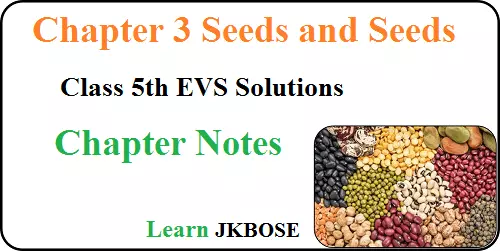 Seeds and Seeds Class 5 Chapter Notes