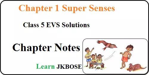 Super-Senses-Chapter-1-Class-5th-EVS-Summary-Notes