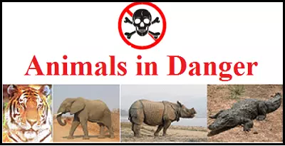 Super-Senses-Class-5-Chapter-1-EVS-Animals-in-Dangers