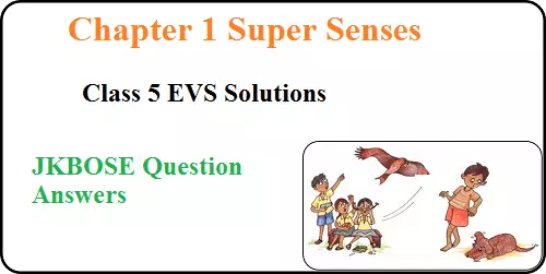 Super-Senses-Class-5-Chapter-1-EVS-Question-Answers