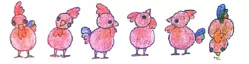 Super-Senses-Class-eyes-in-birds