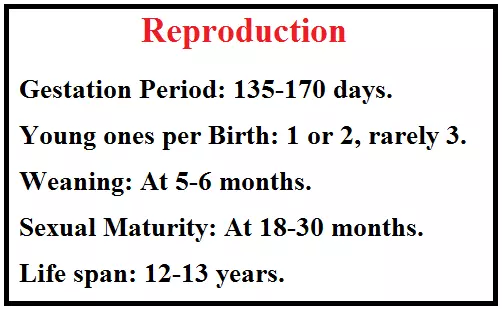 The-Markhor-Class-7-reproduction