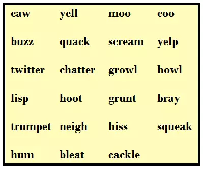 What-Animals-Do-Class-4-Poem-