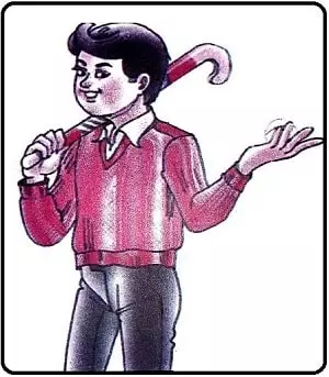 Who-Did-Patricks-Homework-class-6-questions