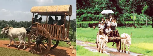 bullock-cart_going_to_school_Class_4_evs