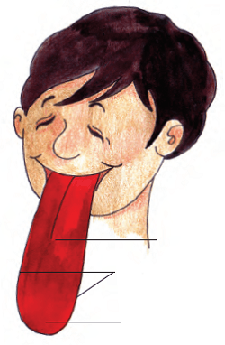 kbose-answers-for-class-5-evs-chapter-2-image-1