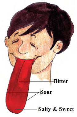 jkbose-answers-for-class-5-evs-chapter-2-image-2