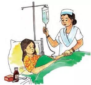 jkbose-answers-for-class-5-evs-chapter-2-image-5