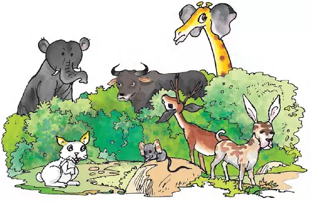 jkbose-solutions-class-4-evs-chapter-3-ear-to-ear-1