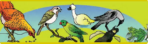 jkbose-solutions-class-4-evs-chapter-3-ear-to-ear-2