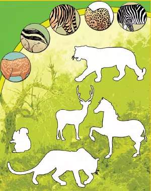 jkbose-solutions-class-4-evs-chapter-3-ear-to-ear-3