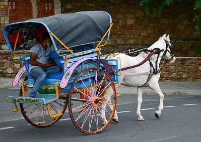 jkbose-solutions-class-4-evs-chapter-going-to-school-5