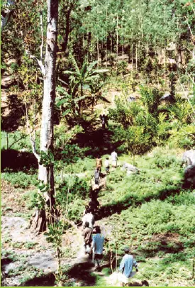 jkbose-solutions-class-4-evs-chapter-going-to-school-9