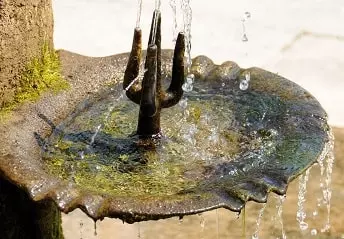 the-fountain-poem-class-5