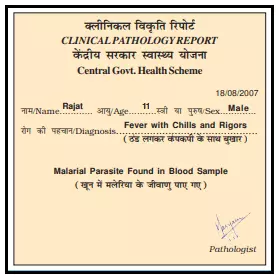 A-Treat-for-Mosquitoes-Class-5-Chapter-6-Question-Answers-2