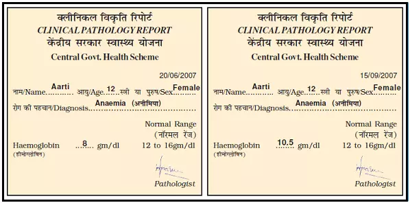 A-Treat-for-Mosquitoes-Class-5-Chapter-6-Question-Answers-3