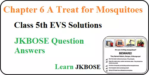 A-Treat-for-Mosquitoes-Class-5-Chapter-6-Question-Answers