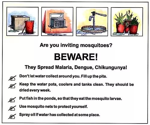 A-Treat-for-Mosquitoes-Class-5-Question-Answers-4