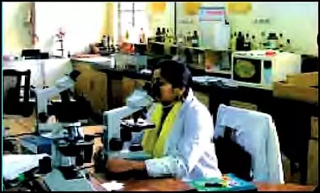 A-Treat-for-Mosquitoes-Class-5-Question-Answers-8