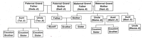 Changing-Families-Class-4-EVS-Question-Answers-3