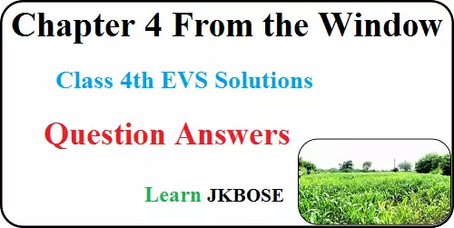 From-the-Window-Class-4-Chapter-3-Question-Answer