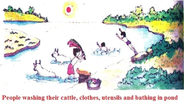 Safe-Drinking-Water-Class-4-Chapter-Notes-5