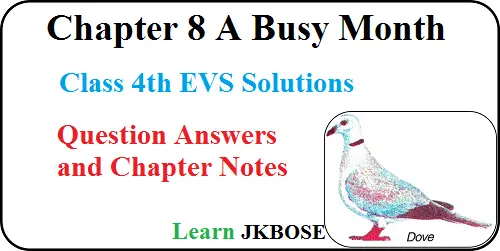 A-Busy-Month-Chapter-8-Class-4-EVS-Question-Answers