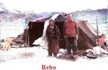 A-Shelter-So-High-Class-5-EVS-Chapter-Notes-4