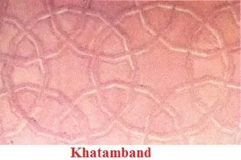 A-Shelter-So-High-Class-5-EVS-Chapter-Notes-7