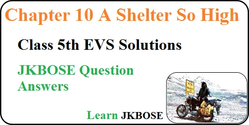A-Shelter-so-High-Class-5-EVS-Question-Answers