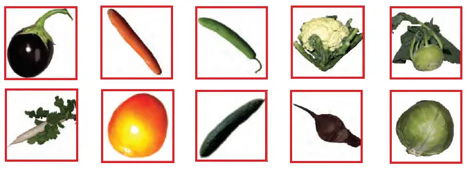 Abdul-in-the-garden-chapter-10-question-Answers-2